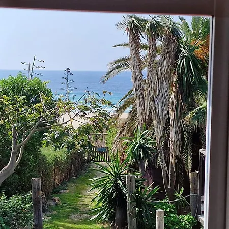 Bolonia Campus