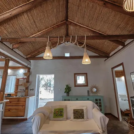 Bolonia Campus Apartment