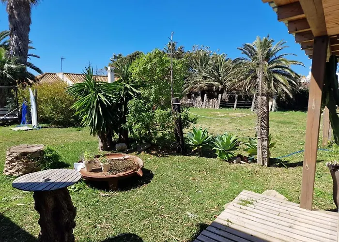 Bolonia Campus Daire *
